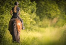 Enhancing Equestrian Experiences: The Art of Horse Riding Commentary