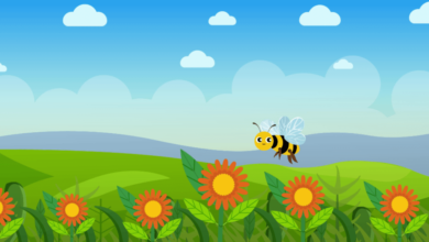 Animated:4dxb9zmqvqi= Bees