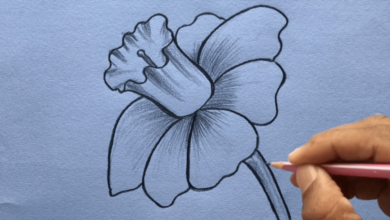 Simple:3vz4qc7cf5i= How to Draw a Flower