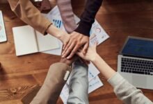 sustainable business bookkeeping solutions