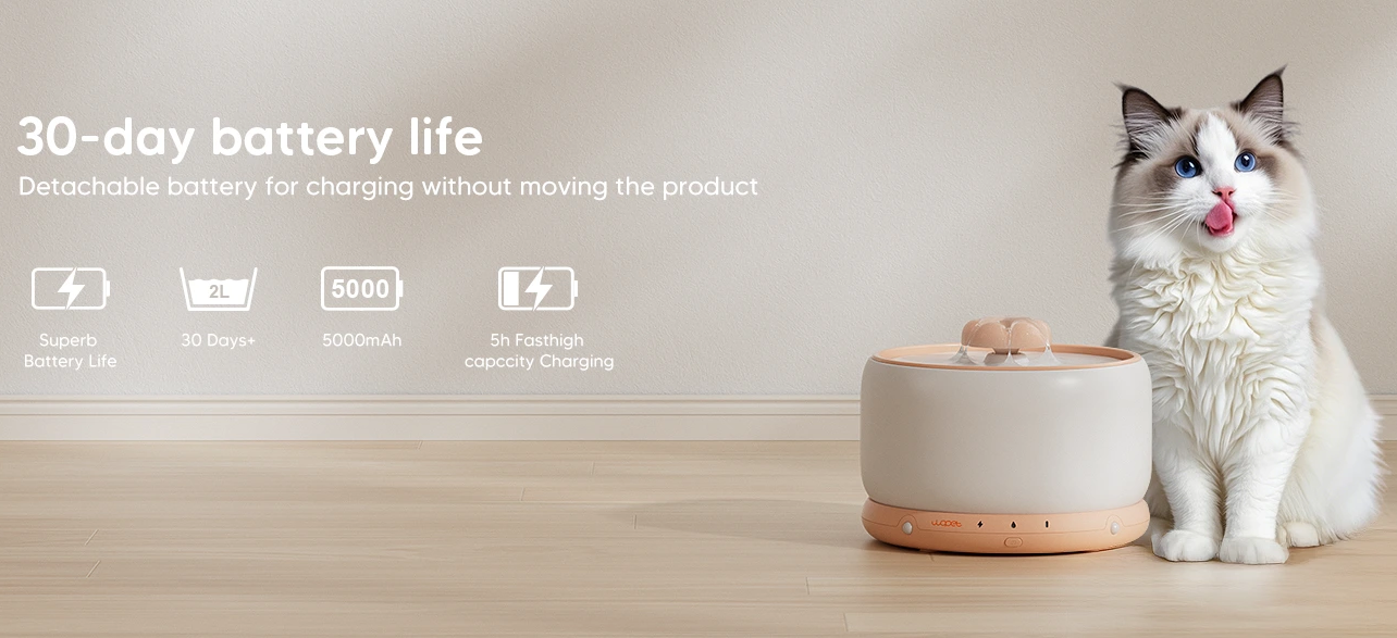 Do Pet Fountains Make Noise? What Owners Should Know Before Buying - JPG-TURF-VIP || jpg turf vip || jpgturfvip