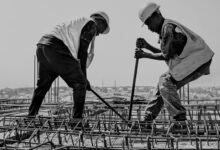 digital expansion launch project