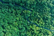 stellar growth curve analysis