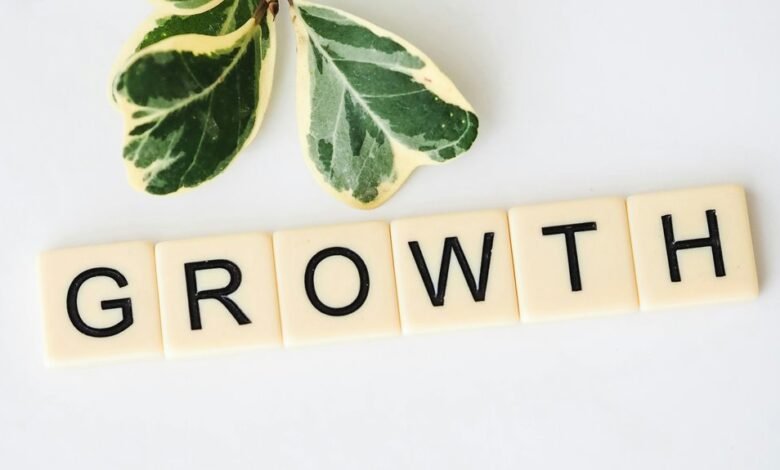 achieving milestones toward growth