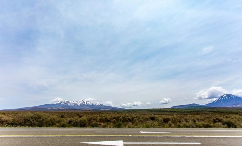 bold approaches across evolving landscapes