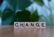 creative drive across transformative fields