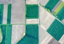 creative opportunities across transformative fields