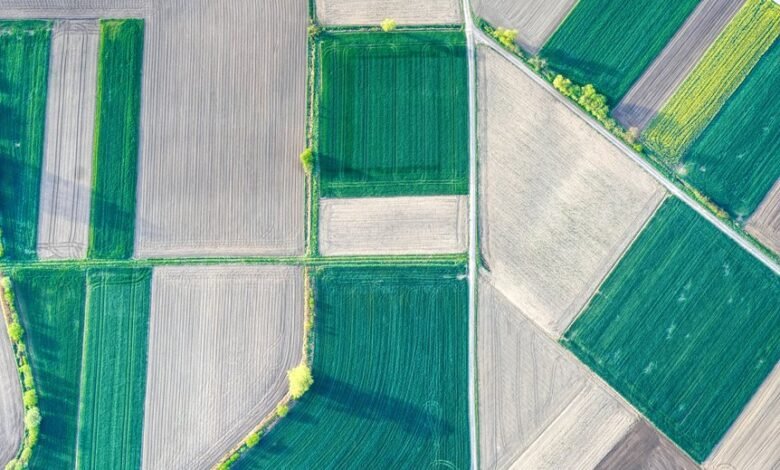 creative opportunities across transformative fields