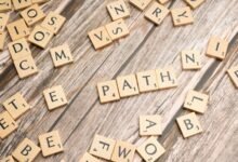 creative pathways across ventures