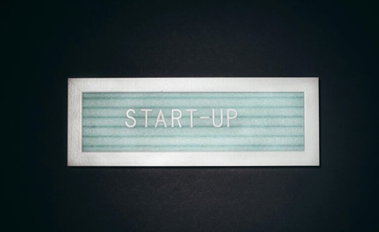 dynamic potential drives innovation success