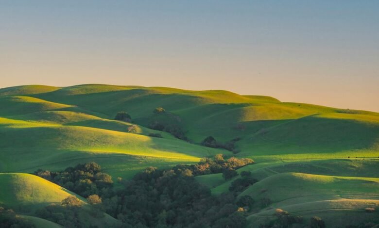 momentum insights across competitive landscapes