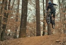 trailblazing progress toward transformative action