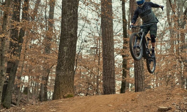 trailblazing progress toward transformative action