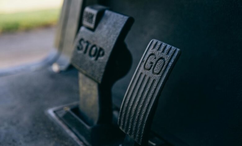 trailblazing steps global opportunities