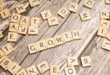 trailblazing steps toward growth