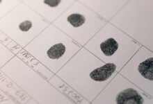 advanced record analysis identifiers and contacts