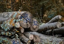 digital log analysis usernames listed