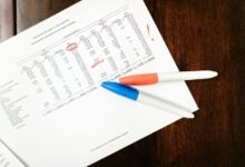 final data audit details summary