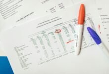 multilingual record analysis identifiers