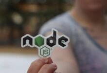 platform and hosting names for programgeeks network