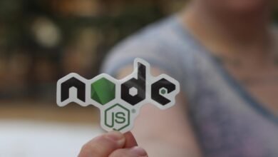 platform and hosting names for programgeeks network