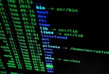 system file verification details tgd170 fdm 97
