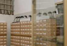 archive item identifiers and counts