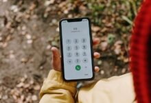 phone contact numbers list and identifiers