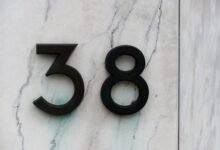 phone numbers list extracted