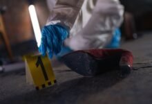 registry evidence numbers listed